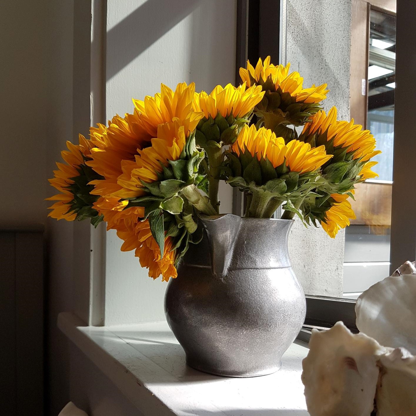 Profile picture; anonymous headshot